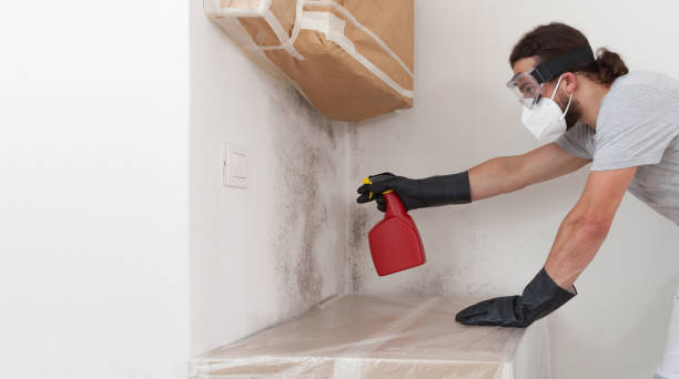 Professional Crawl Space Mold Remediation technician working in Indian River, MI